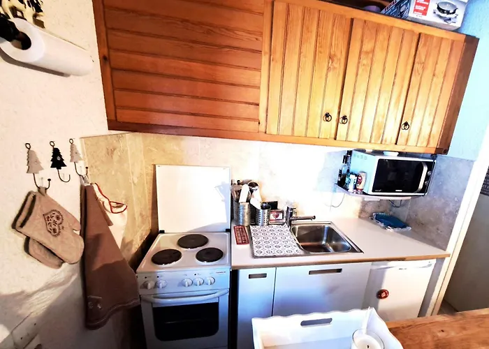 Cosy, Vue Sur Pistes - 4 Pers. - Fr-1-165a-214 Apartment